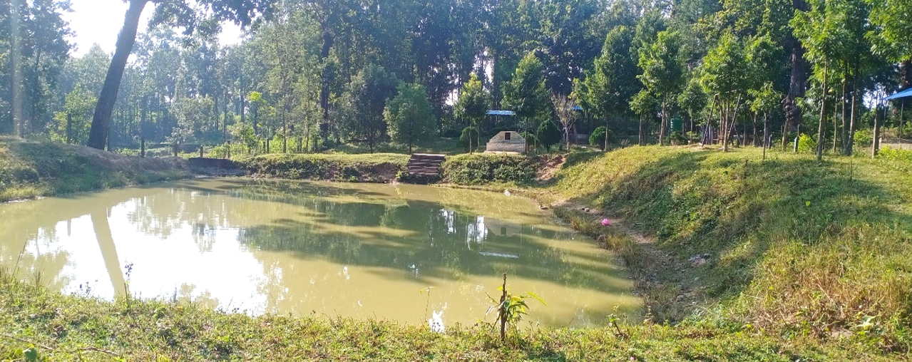 हात्ती खोरे पोखरी